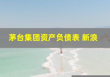 茅台集团资产负债表 新浪